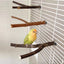 Natural Wood Pet Parrot Raw Wood Fork Tree Branch Stand Rack Squirrel Bird Hamster Branch Perches Chew Bite Toys Stick Supplies