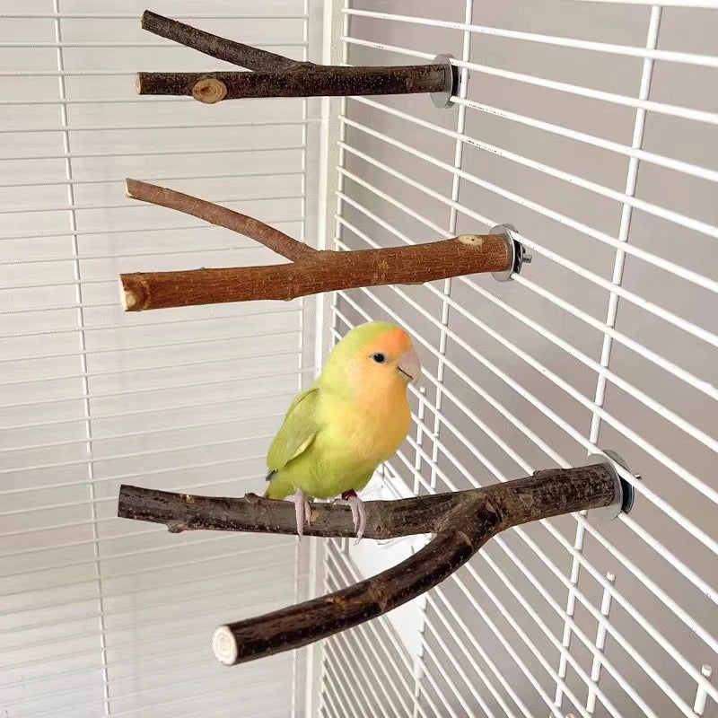 Natural Wood Pet Parrot Raw Wood Fork Tree Branch Stand Rack Squirrel Bird Hamster Branch Perches Chew Bite Toys Stick Supplies