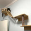 50Cm/100Cm Rope Ladder Wall Mounted Cat Shelves Cat Tree Furniture Wood Sisal Scratcher Rope Steps Climbing Pet Furniture