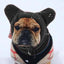 Dog Winter Hat Thickened Dog Hood Warm Hat Walking Outdoor Winter Pet Hat Dog Ears Cover Headwear Puppy Caps Puppy Headgear