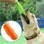Multicolor Frisbeed Dog Toy  Fashion Pet Dog Silicone Game Flying Discs Trainning Interactive Toys Pet Supplies Flying Disc