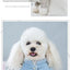 Winter Dog Clothes Bowknot Plaid Coat Thicken Jacket Pets Gentleman Outfits Warm Clothes Bowknot Jumpsuit Jacket Outfit Clothing