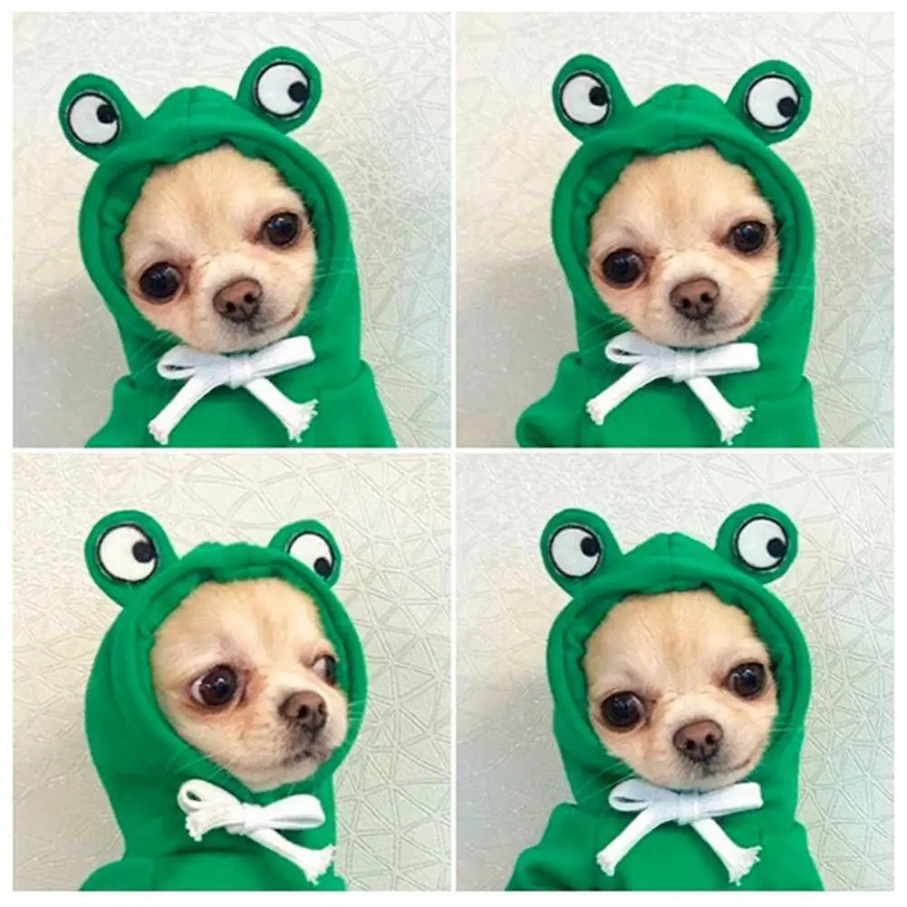 Funny Pet Clothes Cute Green Little Frog Dog And Cat Small Dog Autumn And Winter Sweatshirt Plush Outdoor Fashion Cotton Jacket
