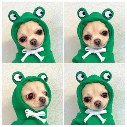 Funny Pet Clothes Cute Green Little Frog Dog And Cat Small Dog Autumn And Winter Sweatshirt Plush Outdoor Fashion Cotton Jacket