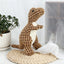 Pet Dog Squeaky Plush Dinosaur Toys Interactive Dog Chew Toys Plush Stuffing Pet Supplies Small Dog Chew Molar Toys