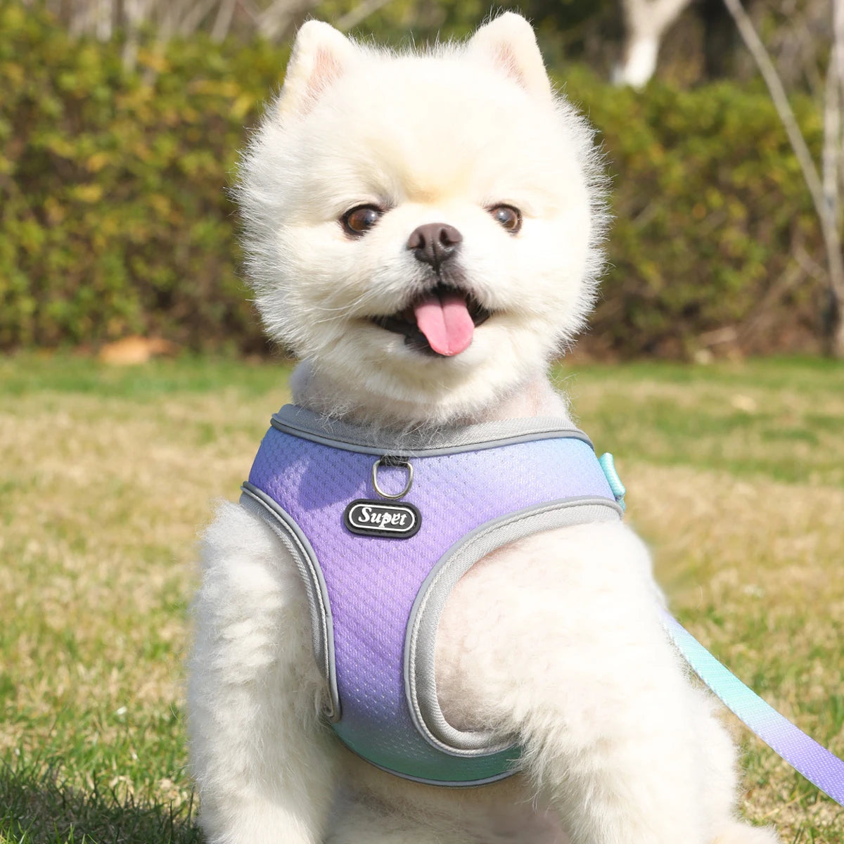 Supet Pet Step-in Dog Harness, Adjustable Reflective Soft Dog Harness, Breathable Dog Vest Harness for Cats Puppy