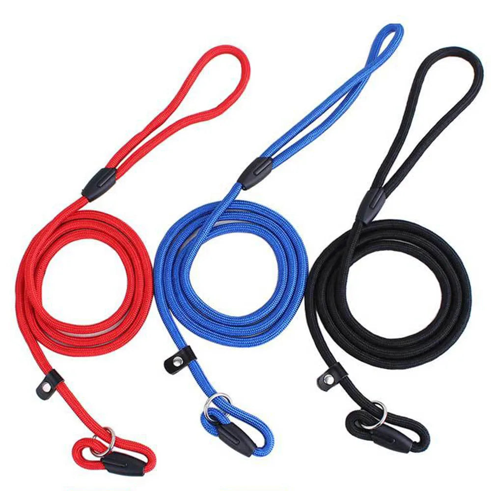 Nylon Dog Leash Pet Puppy Slip Lead Rope Dog Slip Leash Chain Collar Adjustable No-Pull Dog Training Leash for Small Dogs Yorkie