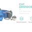 Pet Collars New Pet Bow Bell Collars Cute Cat Collars Pet Supplies Multicolor Adjustable Pet Dressing Tool Pet Accessories