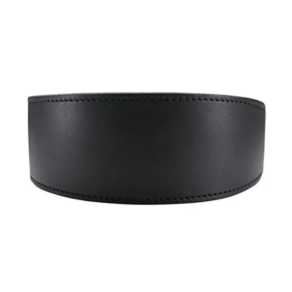 Soft Real Leather Extra Wide Padded Tapered Dog Collar Glossy Brown Black Greyhound Saluki Deerhound Lurcher Whippet Dachshund