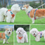 Mesh Breathable Dog Harness Nylon Reflective Dog Harnesses Vest Durable Pet Training Vest Adjustable for Small Medium Large Dogs