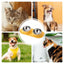 Dog Food Bowl Stainless Steel Double Cat Food Bowl Non Slip Double Cat Food And Water Feeding Bowls For Dogs Cats Puppies And