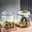 Large Turtle Tank Transparent Turtle Aquarium Turtle Tank With Lid Turtle Terrarium Tortoise Enclosure With Removable Cover