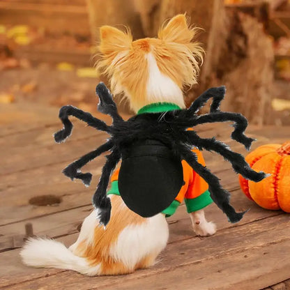 Spider Costume For Cats Fun Realistic Dogs Cats Cosplay Outfit Scary Halloween Dressing For Pet Supplies Festive Costume For