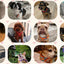 Step-in Dog Harness Small Dog Harness and Leash Set Adjustable Reflective Pet Dog Vest Soft Harness for Puppy Small Medium Breed