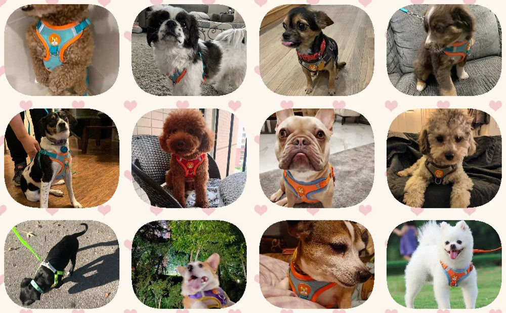 Step-in Dog Harness Small Dog Harness and Leash Set Adjustable Reflective Pet Dog Vest Soft Harness for Puppy Small Medium Breed