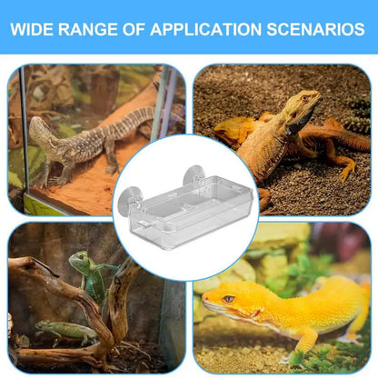 Reptile Ledge Feeder Suction Cup Gecko Ledge Feeder Anti-Escape Mealworm Bowl Durable Feeding Basin Pet Supplies