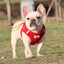 Dog Harness Dog Traction Rope Corduroy Breathable Dog Chest Strap Reflective Pet Chest Strap Walking Rope Set