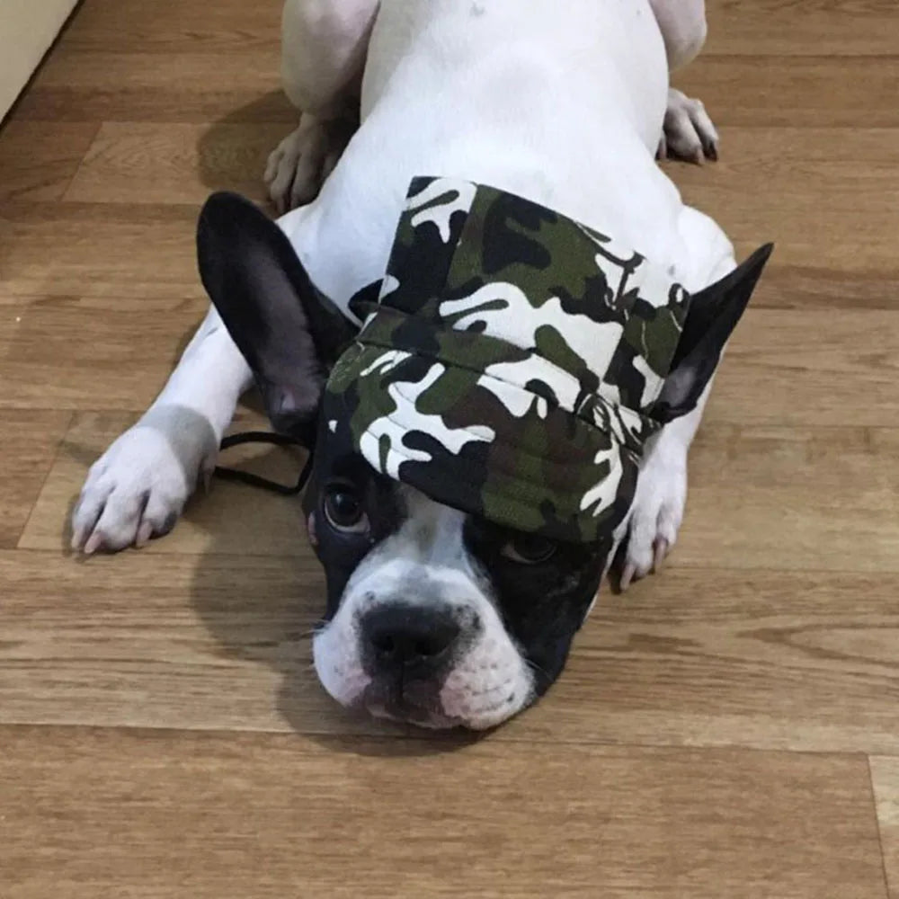 Pet Dog Hat Accessories Dogs Baseball Cap Sport Puppy Grooming Dress Up Hat Pet Dog Outdoor Hat Headwear Casual Cat Dog with Hat