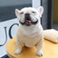 2024 New Warm Fleece Pet Clothes Cute Print Coat Small Medium Dog Cat Shirt Jacket Teddy French Bulldog Chihuahua Winter Outfit