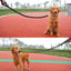 130cm Strong Nylon Dog Leash, Durable Braid Lead Rope for Small Medium Large Dogs Training Walking Pet Accessories