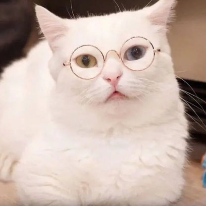 Anti-slip Cat Sunglasses Pet Accessories Small Dog Sun Glasses Classic Retro Circular Glasses for Kitten Photos Props Cosplay