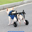 Pet Dog Wheelchair Leg Injury Walker Cat Rehabilitation Walker Small Stroller That Can Go To The Bathroom To Assist Walking
