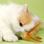 Catnip Ball Feather Cat Toy Ball Feather Cat Tooth Cleaning Cat Toy Catnip Ball Interactive Chew Catnip Pet Supplies