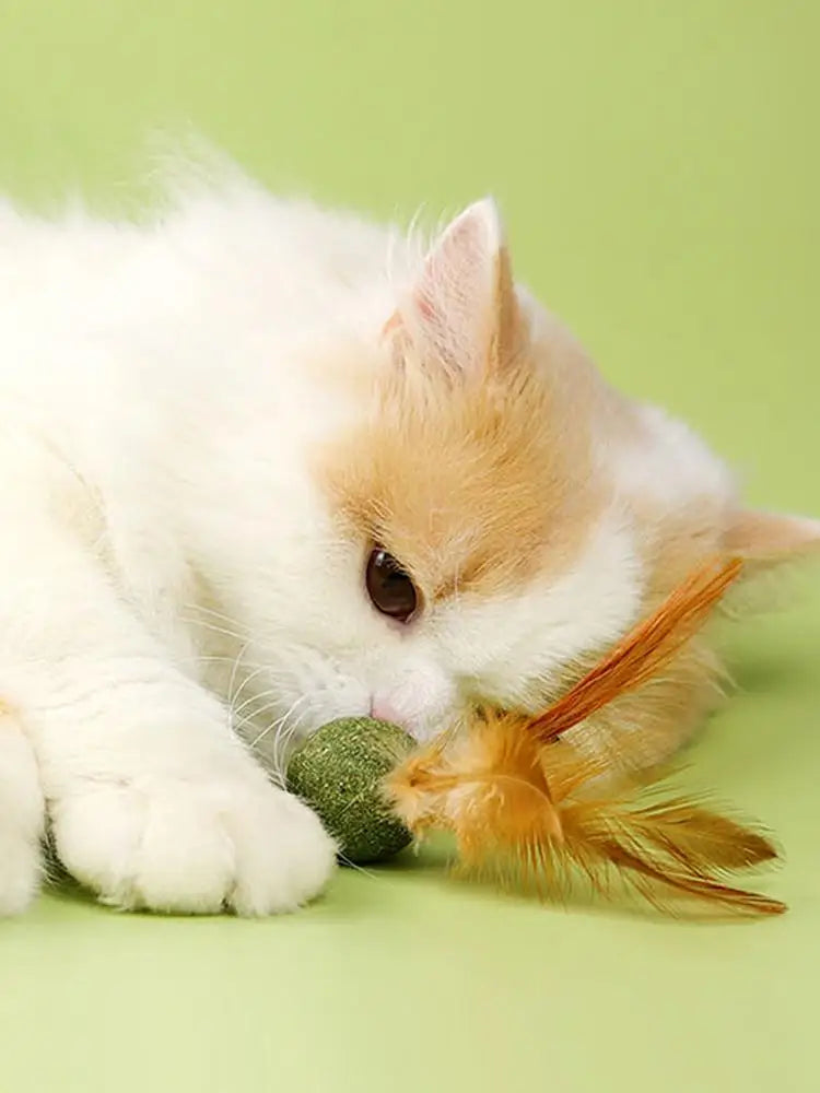 Catnip Ball Feather Cat Toy Ball Feather Cat Tooth Cleaning Cat Toy Catnip Ball Interactive Chew Catnip Pet Supplies