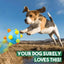 Interactive Dog Toy Ball LED Flash Music Dog Toy Ball Pet Bouncing Balls Interactive Jumping Toys For Dogs Playing Running
