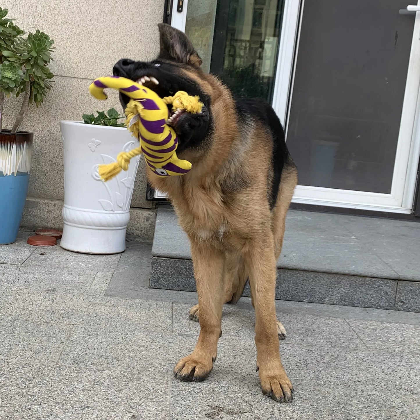 Dog Plush Toy Large And Medium-sized Dog Pet Toys Spot Plush Stuffed Lizard Squeaking Dog Toys Fleece Squeak Toys