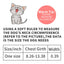 Celebrating Christmas, suitable for cats with bells, cat face safety buckle, nylon collar, pet cat collar, one piece