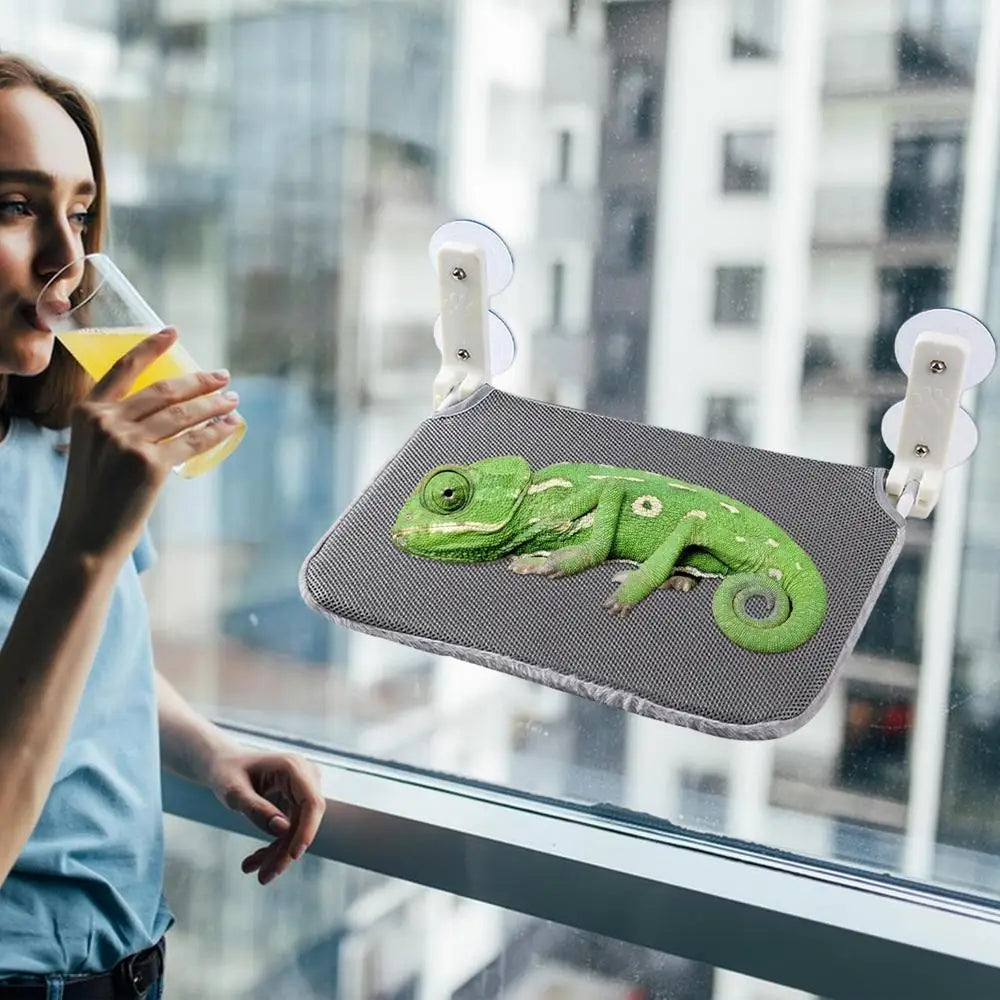 Reptile Window Perch Foldable Suction Cup Hammock Reusable Lizard Bed Breathable Chameleon Perch for Resting Sleeping Playing