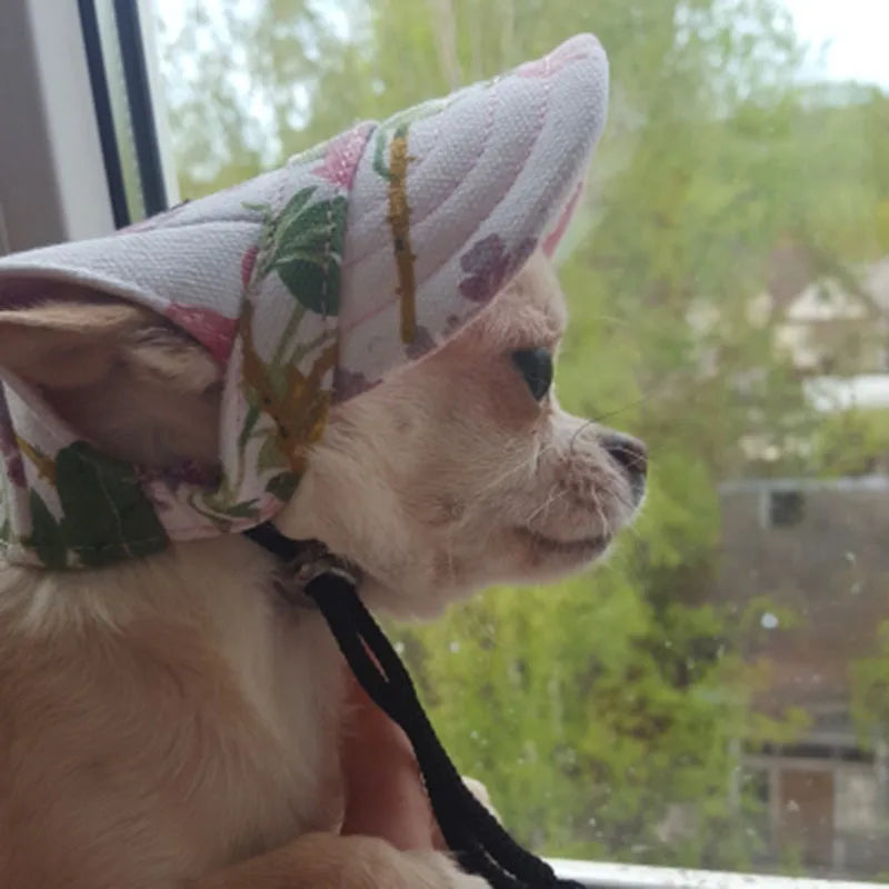 Pet Dog Hat Accessories Dogs Baseball Cap Sport Puppy Grooming Dress Up Hat Pet Dog Outdoor Hat Headwear Casual Cat Dog with Hat