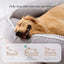Dog Bed Small Dog for Winter Pet Warm Sofa Halloween Basket Mat Medium Cushions Big Cushion Puppy Accessories Large Dogs Bed