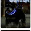 LED Dog Collar Light Up Dog Collars USB Rechargeable TPU Glow Safety Basic Dog Collars for Large Medium Small