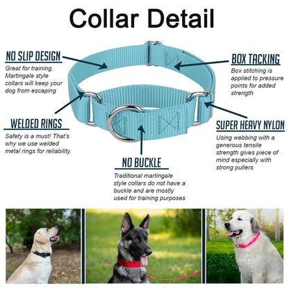 Martingale Heavy Duty Nylon Dog Collar for Small, Medium, Large Breeds Adjustable Safety Training Collar