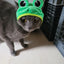Cute Pet Hat Small Dog Cat Hat Easter Bunny Hat Crab Lobster Frog Cap Pet Party Costume Accessories Headwear for Cat Kitten Pug