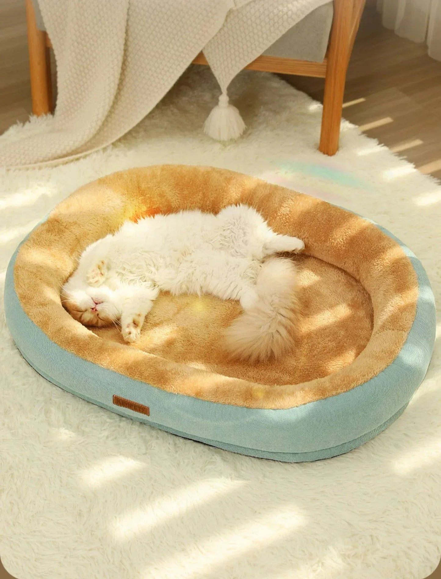 Cats Bed Accessories Puppy Goods Things All Beds Pet Products Houses Supplies Kitten Accessory House Basket Habitats Cushions