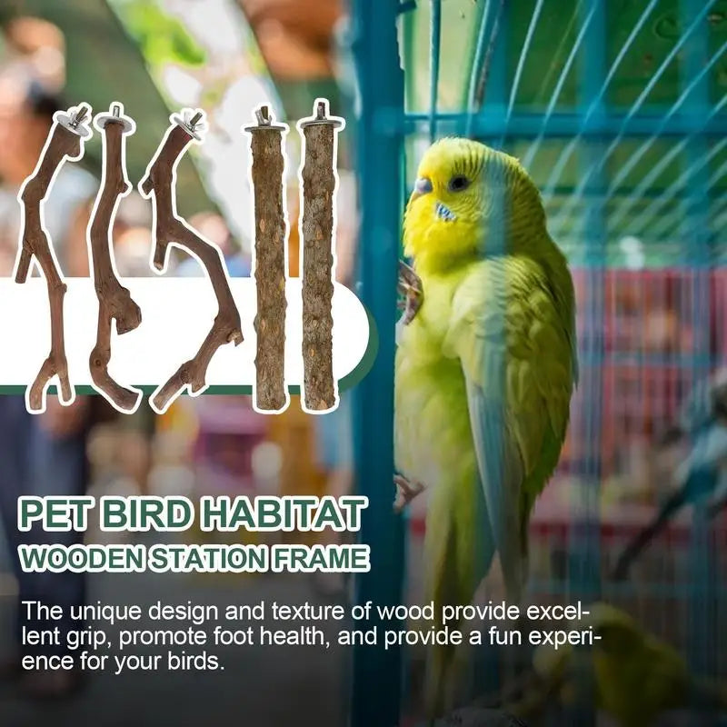 Parrot Perch 5PCS Natural Wooden Cockatiel Perch Exercise Training Branches Parrot Stand Cage Accessories For Small Or Medium