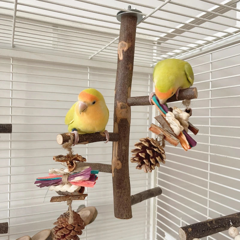 Natural Apple Tree Wood Bird Branch Stand Perches Pet Parakeet Budgie Hanging Play Toy Bird Cage Parrot Wooden Desk Holder