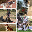 Large Dog Harness Collar Leash Molle Pouch Tactical Patches No-Pull Service Dog Harness Set for Small Medium Dog Training