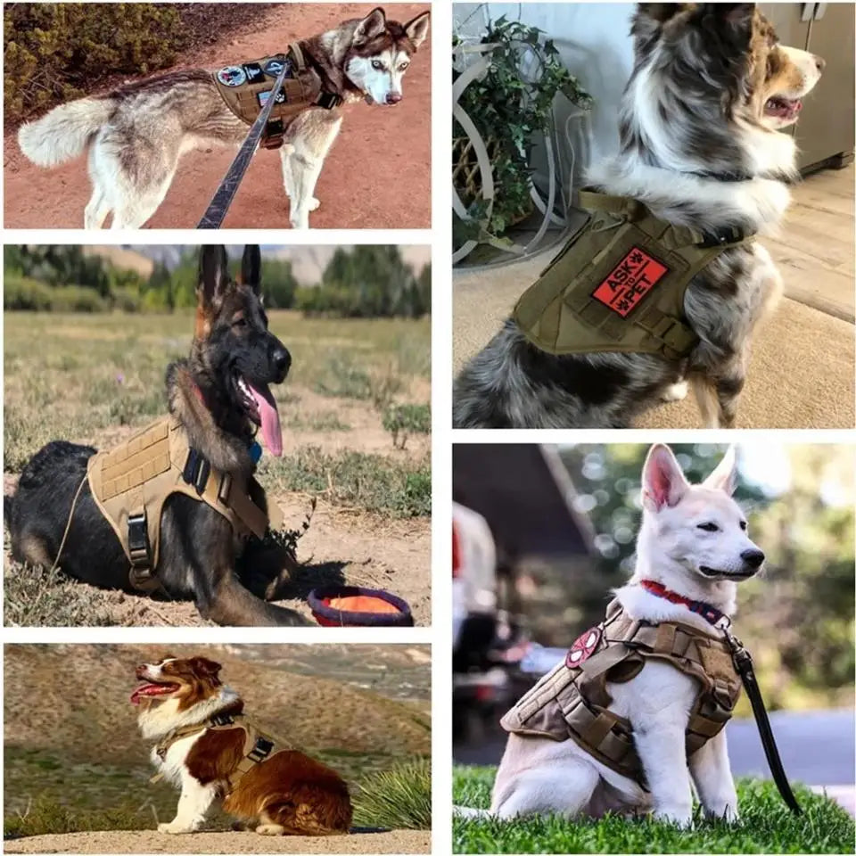 Large Dog Harness Collar Leash Molle Pouch Tactical Patches No-Pull Service Dog Harness Set for Small Medium Dog Training