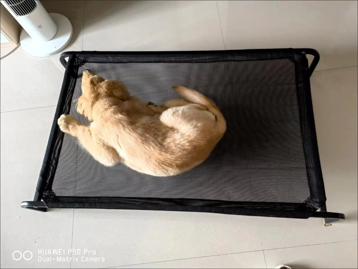 Elevated Bed For Dogs Folding Pet Camping Bed Cat Dog House Portable Removable Washable Cats Kennel Puppy Beds Dog Accessories