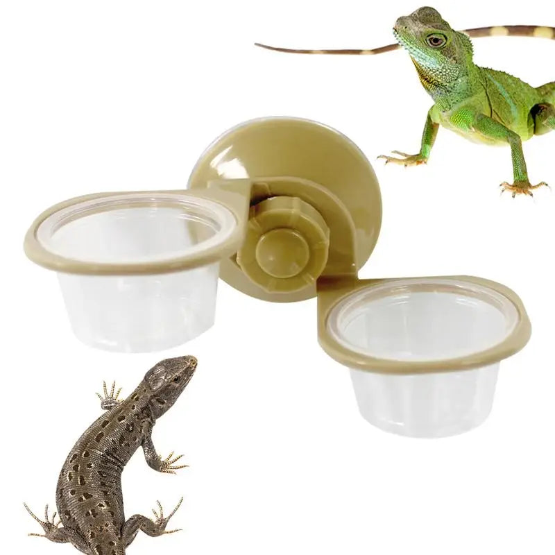 Reptile Feeder Suction Cup  Double Bowl Gecko Feeder Reptile Feeding Cup Chameleon Feeding Food Bowl For Reptiles Food And Water