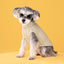 Puppy Cat Sweater Winter Warm Pet Clothes for Small Dogs Chihuahua Vest French Bulldog Knitted Sweater Schnauzer Kitten Costume