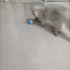 Cat Interactive Ball Smart Pet Cat Toys Indoor Automatic Rolling Magic Ball Electronic Interactive Cat Toy Cat Game Accessories