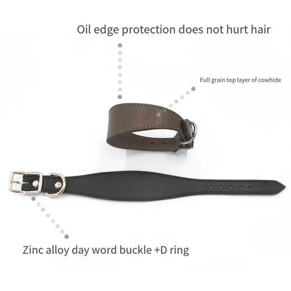 Soft Real Leather Extra Wide Padded Tapered Dog Collar Glossy Brown Black Greyhound Saluki Deerhound Lurcher Whippet Dachshund