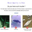 5Pcs Aquarium Filter Nano Biochemical House Media Nitrifying Bacteria Fish Tank Accessories For Aquarium Water Cleaning Medias