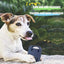 Dog Tennis Tumble Interactive Toy Pet Training Ball Rubber Heavy Duty Tennis Ball Cup Toy Puppy Chewing Dispensing self Play Toy