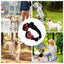 Heart-shaped Dog Sunglasses UV Protection Sun Glasses With Adjustable Strap Anti-Fog Goggles  Puppy Outdoor Eyes Protections